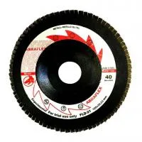 Круг лепестковый торцевой 125х22 FLD-21 P40