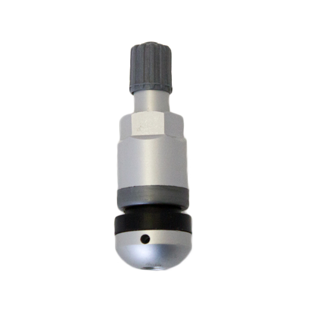 Комплект вентилей TPMS-17 под датчик 2