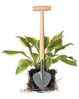 Лопатка для пересадки растений и кустов 1