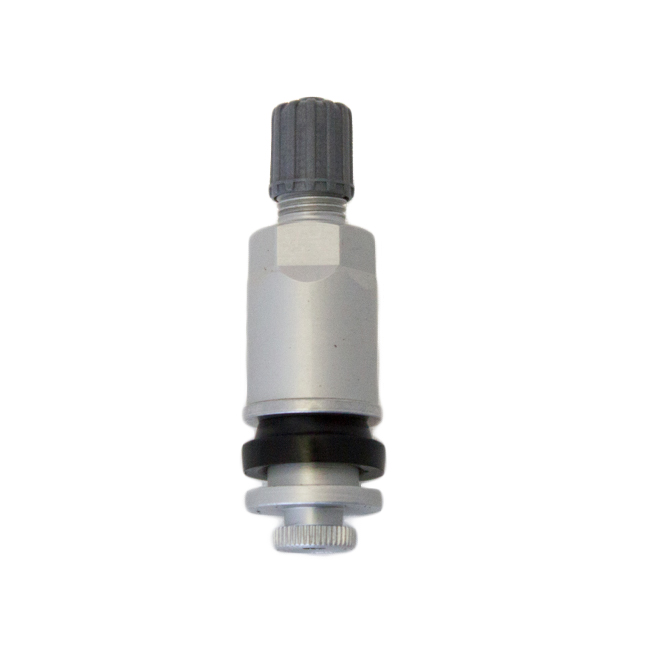 Комплект вентилей TPMS-24 под датчик 2