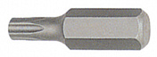 BTX33055 Бита 10 мм Torx T55 30 мм Licota  BTX33055