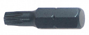 S3TX102527 Бита усиленная 1/4" torx T27 25 мм Licota  S3TX102527